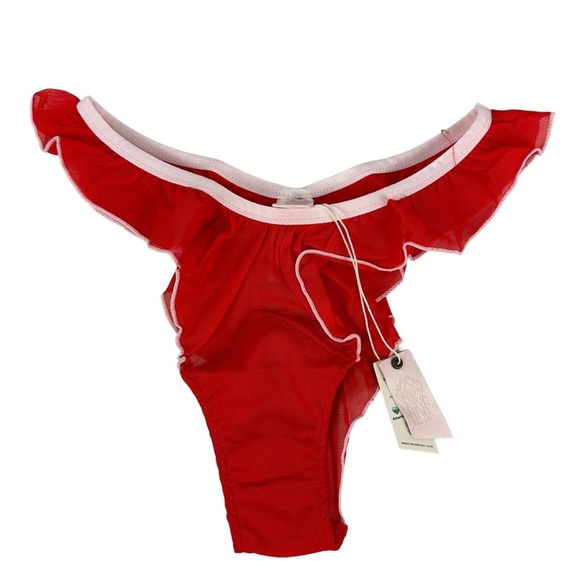 NWT Free People We Are HAH Fly Girl Mesh Lingerie Panty Blood Orange Size large - Picture 3 of 4